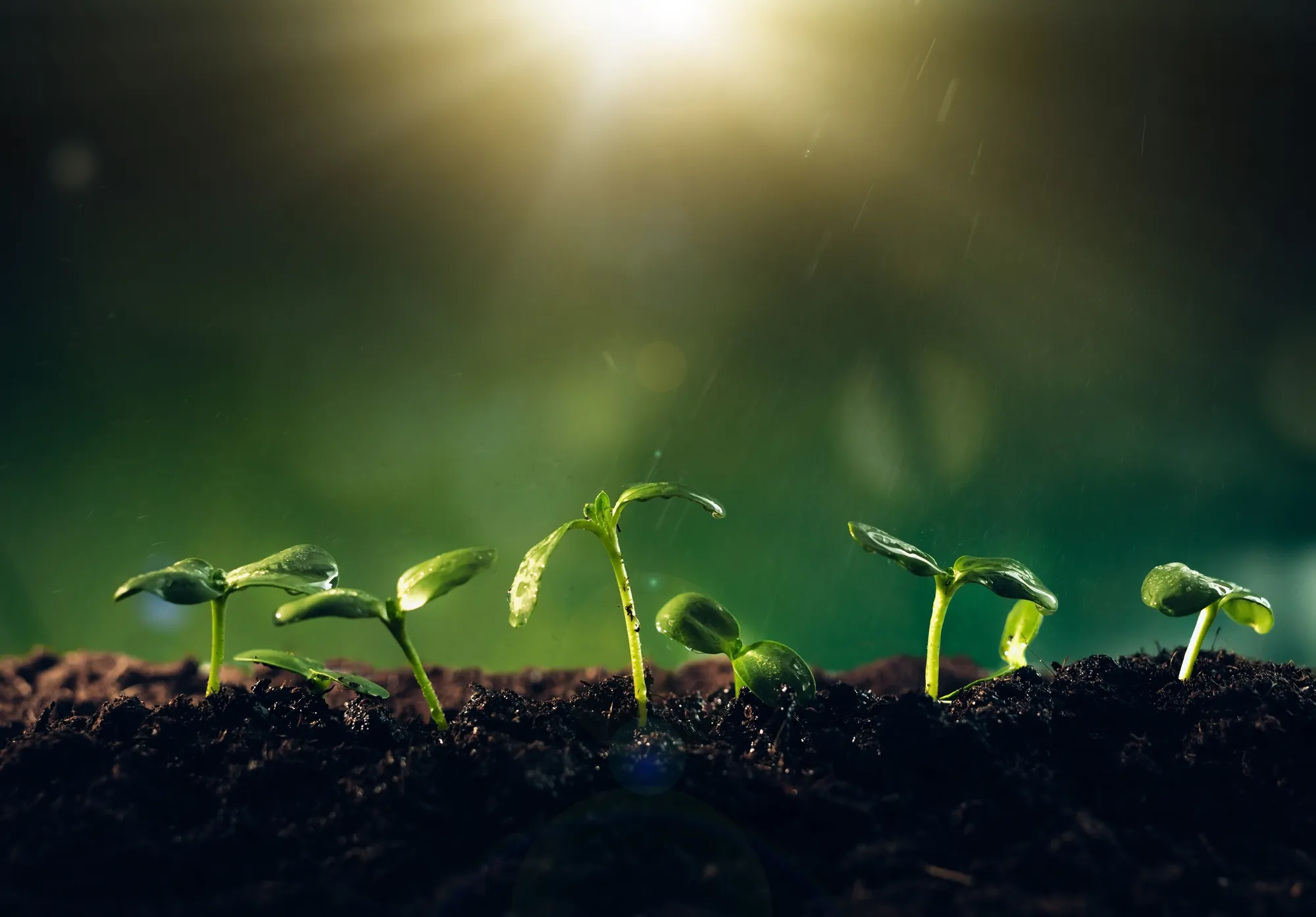 Generación de Energía Limpia